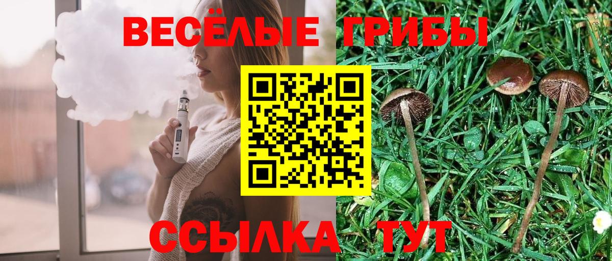  КОКАИН Ленинск-Кузнецкий
