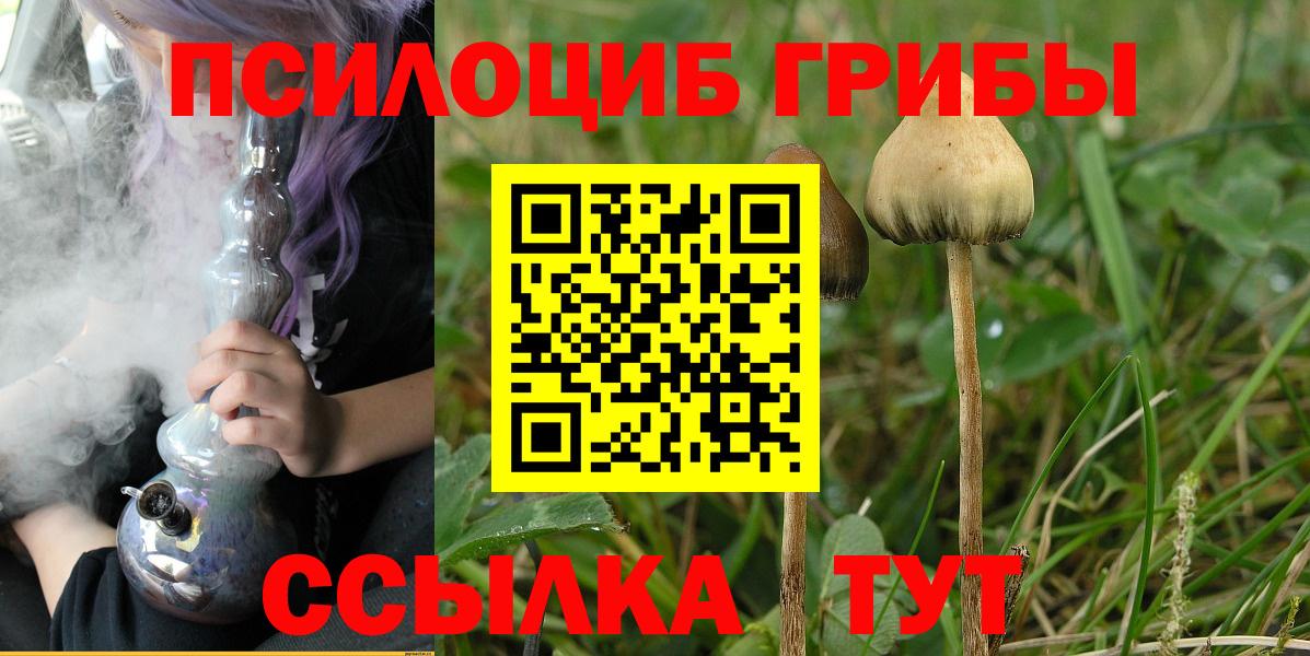 Псилоцибиновые грибы Psilocybine cubensis  Галлюциногенные грибы Cubensis  Вход с VPN  Ленинск-Кузнецкий 